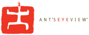 AntsEyeView Ants Eye View